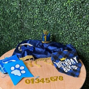 Dog Birthday Party Supplies and King Costume